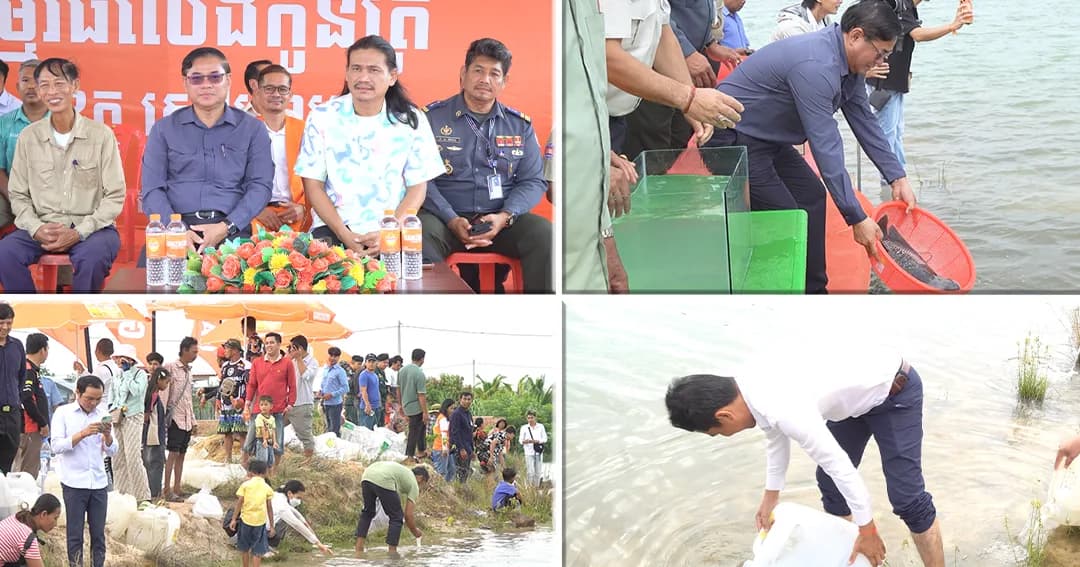 កូនត្រីចម្រុះ និងមេពូជជាង ២០ម៉ឺនក្បាល ត្រូវបានរដ្ឋបាលខេត្តសៀមរាប និងក្រុមហ៊ុន GANZBERG លែងចូលត្រពាំងក្រវ៉ាន់ តាពេក ក្នុងក្រុងរុនតាឯកតេជោសែន