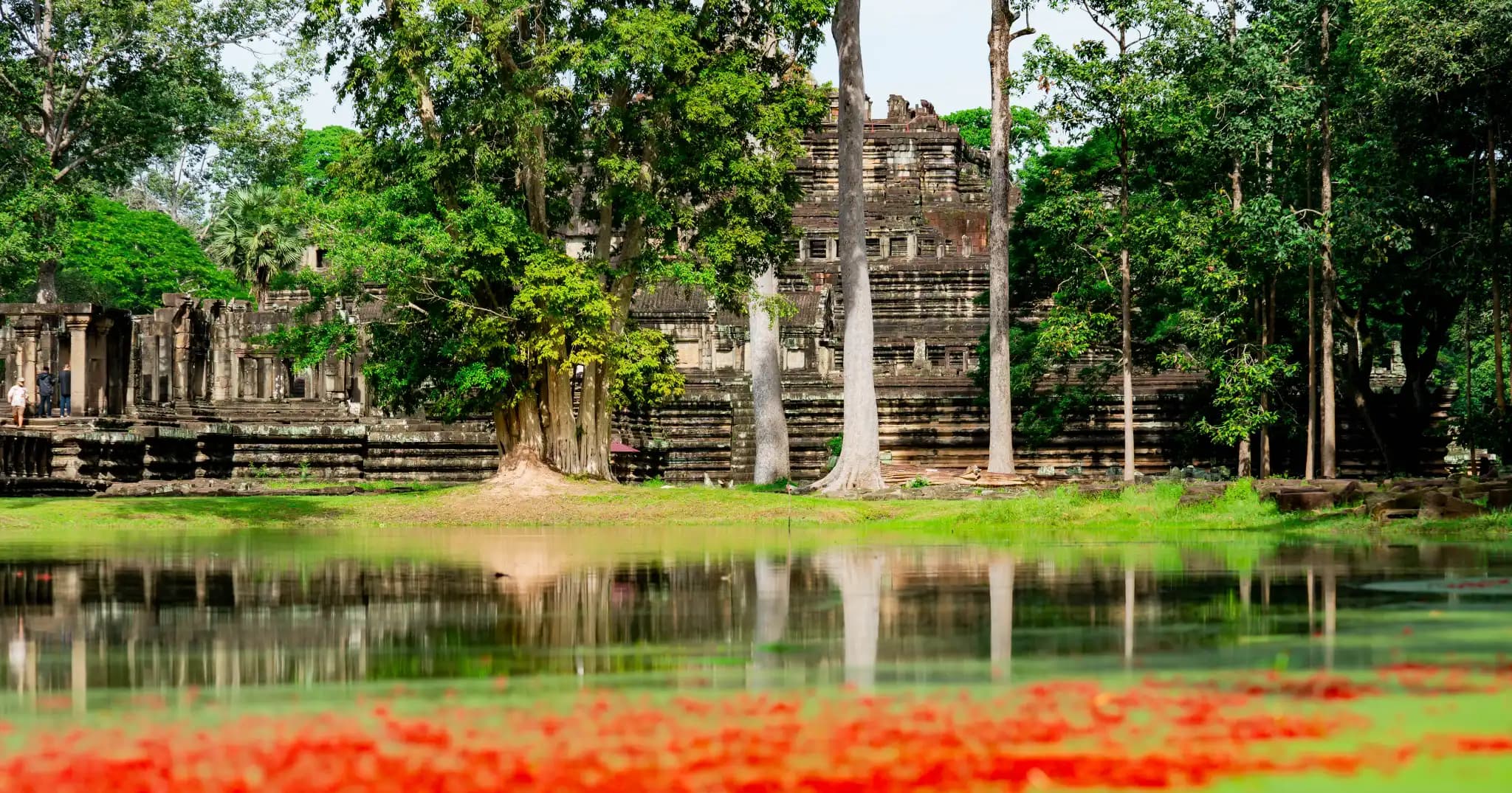 ទេសភាពដ៏ស្រស់ត្រកាល នារដូវបៃតង នៃប្រាសាទបាភួន