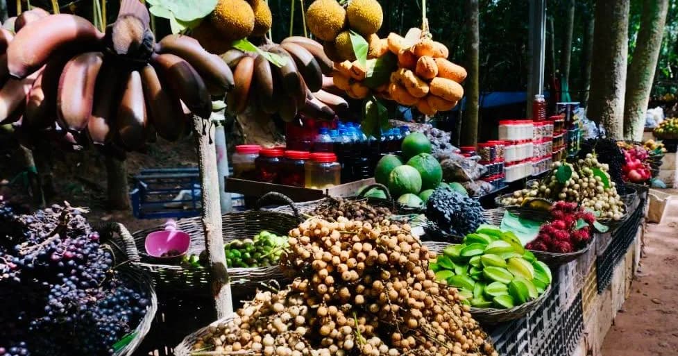 ផ្លែឈើស្រុកស្រែស្រស់ៗពីអ្នកស្រុកអង្គរ