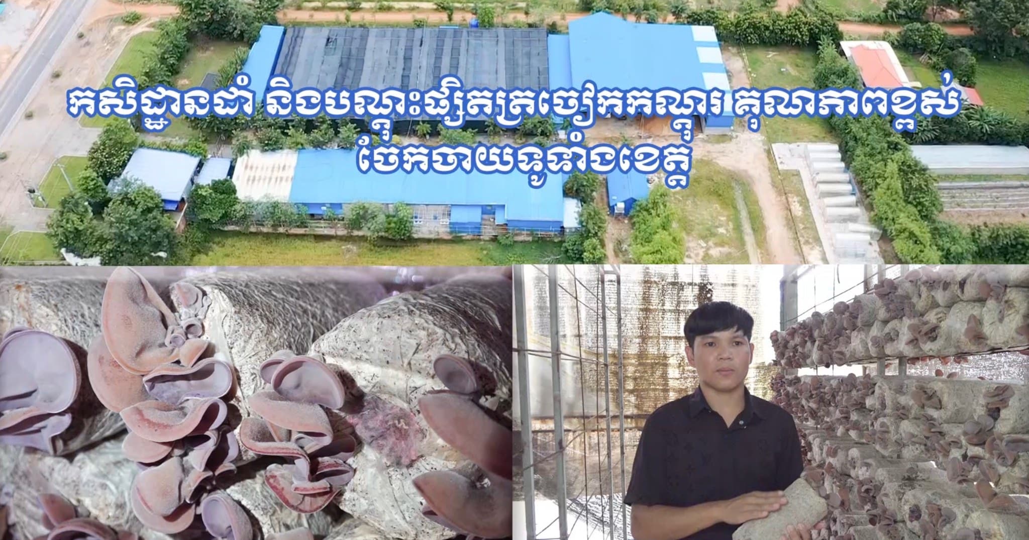 វិដេអូ៖ អស្ចារ្យណាស់ស្នាដៃកូនខ្មែរ! ក្រុមហ៊ុនពិជ័យ១៧ ខេត្តសៀមរាប