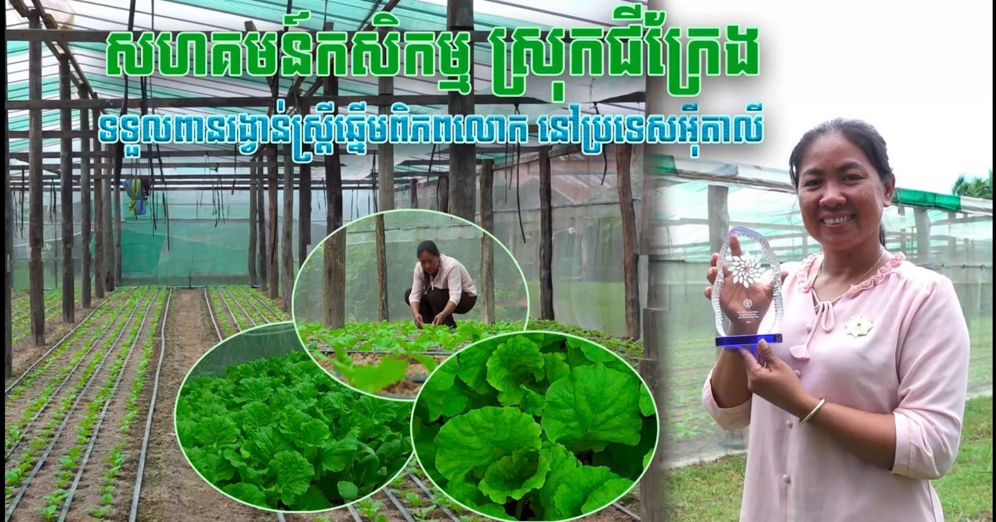 វីដេអូ៖ លោកស្រី សែត ហាច ប្រធានសហគមន៍កសិកម្ម ស្រុកជីក្រែង ដែលបានទទួលកិត្តិយសជា វីរនារីឆ្នើម ១០០រូប ពីអង្គការ FAO នៅប្រទេសអ៊ីតាលី ដោយក្តីស្រឡាញ់ ការអត់ធ្មត់ និងការតស៊ូគឺតែងតែផ្តល់ផលផ្លូវដ៏ត្រចះត្រចង់