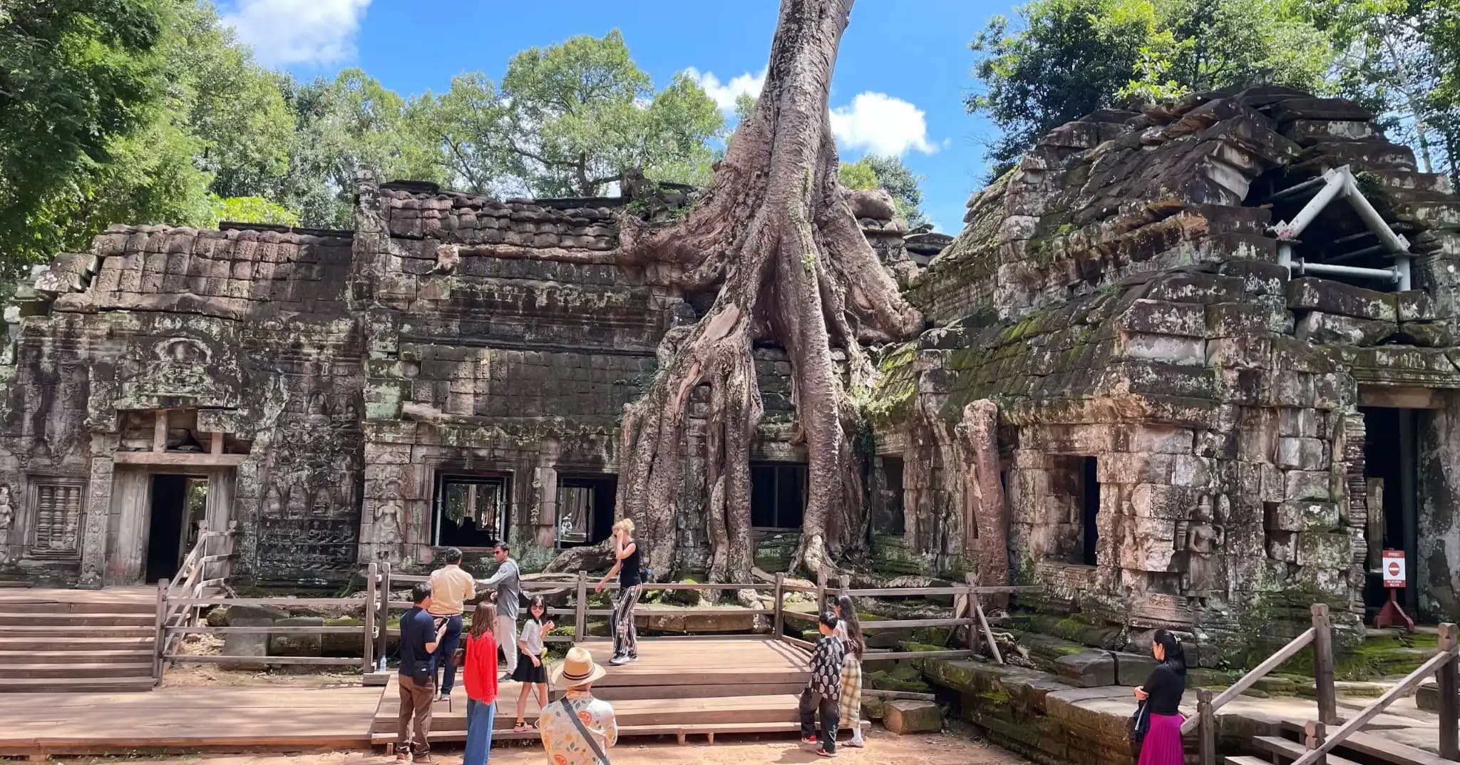 ប្រាសាទតាព្រហ្មហាក់បង្ហាញសម្រស់យ៉ាងស្រស់ស្អាតនាចុងរដូវកាលបៃតង